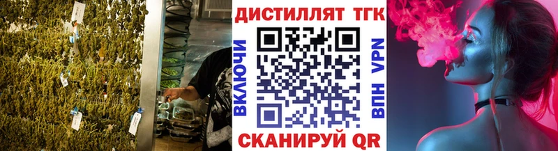 ТГК Wax  Балтийск 