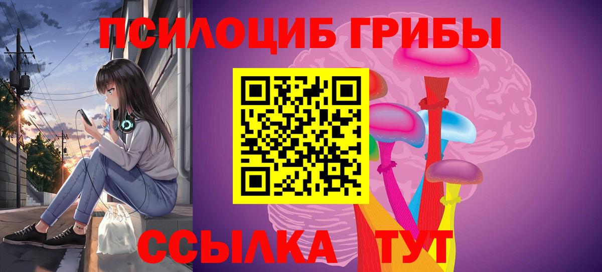 Псилоцибиновые грибы мицелий  Псилоцибиновые грибы ЛСД  Вход с VPN  Балтийск 